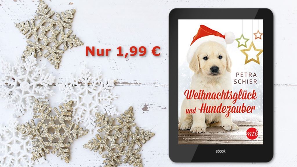 Banner Weihnachtsglück und Hundezauber Preisaktion