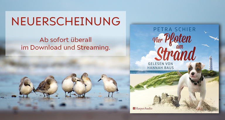 Blogbanner Hörbuch Vier Pfoten am Strand Neuerscheinung