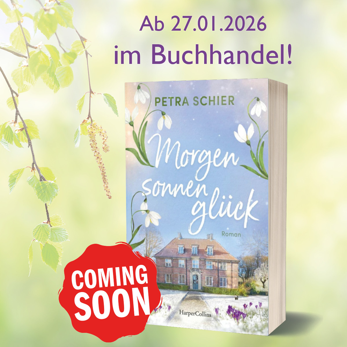 Banner 1 quadratisch Morgensonnenglück coming soon zum Download