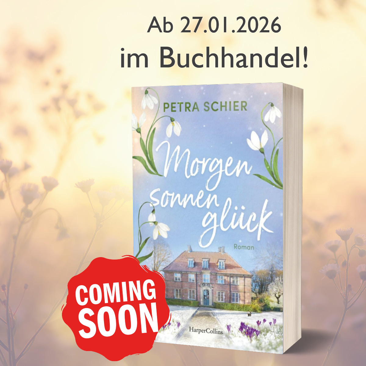 Banner 2 quadratisch Morgensonnenglück coming soon zum Download